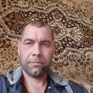 Сергей, 42 года, Нижний Тагил