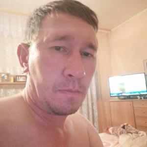 Павел Тарханов, 43 года, Красноярск