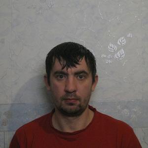 Владимир, 42 года, Рыбинск