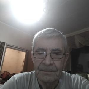 Борис Григорьев, 75 лет, Россошь