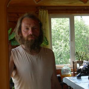 Виктор, 46 лет, Пермь