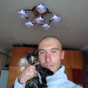 Парни в Томске: Алексей, 36 - ищет девушку из Томска