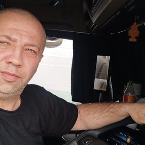 Дима, 41 год, Витебск