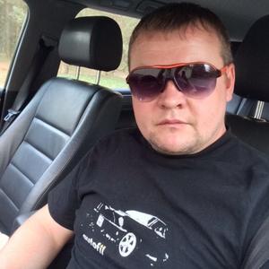 Денис, 38 лет, Минск