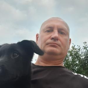 Дима, 47 лет, Сальск