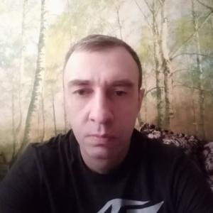 Алексей, 44 года, Гай