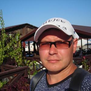 Михаил, 41 год, Димитровград