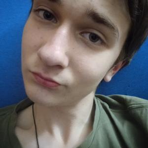 Данил, 24 года, Невинномысск