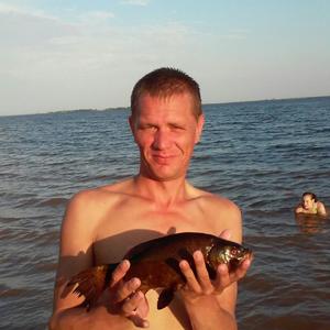 Dmitriy Krestovskih, 40 лет, Ижевск