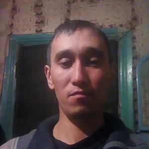 Салават, 39 лет, Омск