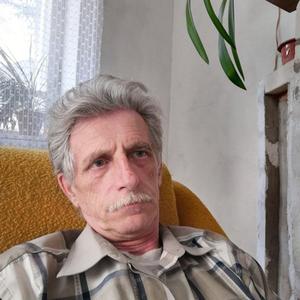 Евгений Панков, 66 лет, Большая Ижора
