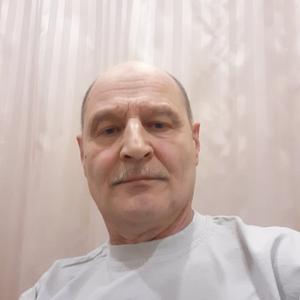Андрей, 63 года, Краснодар