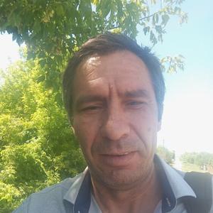 Владимир Никифоров, 49 лет, Воронеж