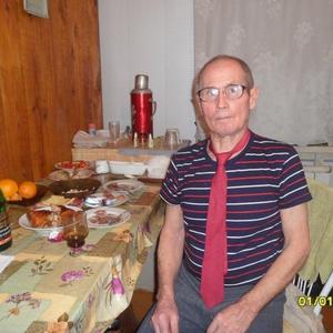 Viktor Ivanov, 69 лет, Новосибирск
