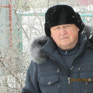 Парни в Саратове: Олег, 74 - ищет девушку из Саратова