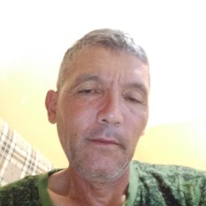 Сафар, 64 года, Обнинск