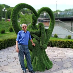 Петр, 85 лет, Краснодар