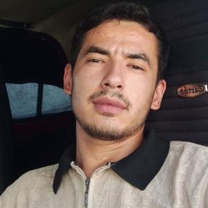 Forrest Gump, 24 года, Ташкент