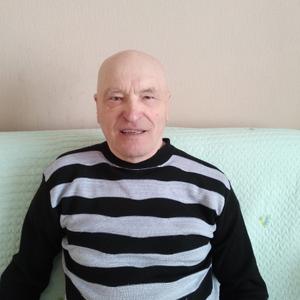 Иван, 71 год, Усть-Илимск