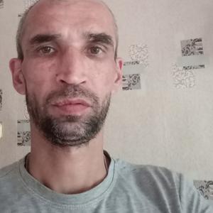 Вячеслав, 41 год, Ржевское
