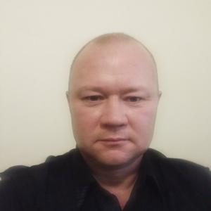 Вадим, 43 года, Нижнекамск