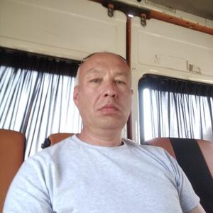 Александр, 43 года, Могилев