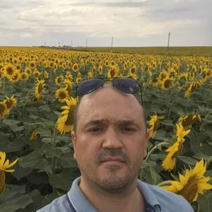 Дмитрий Т, 41 год, Ставрополь