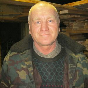 Дмитрий Дворянков, 50 лет, Пичаево