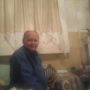 Фарит, 71 год, Казань