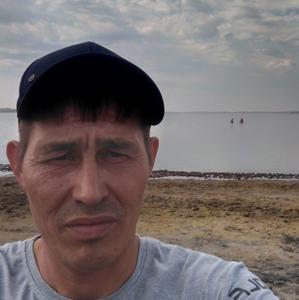 Radis, 36 лет, Челябинск