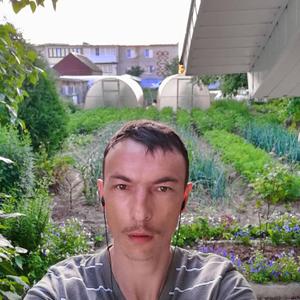 Andrei, 39 лет, Обнинск