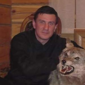 Андрей Маньков, 49 лет, Казань