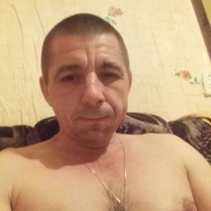 Николай, 43 года, Таганрог