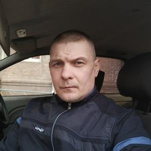 Алексей Шульгинов, 43 года, Стадница