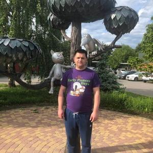 Черных Геннадий, 41 год, Воронеж