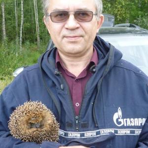 Сергей, 59 лет, Рыбинск