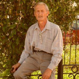 Дмитрий Григорьев, 72 года, Далматово