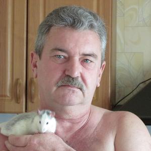 Михаил, 66 лет, Валуйки