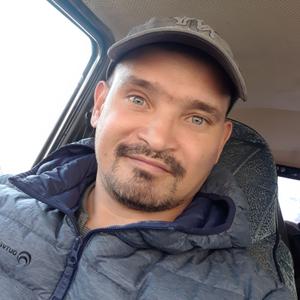 Павел, 44 года, Барнаул