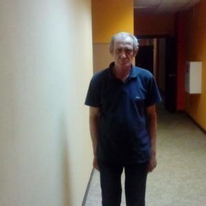 Парни в Коломне: Владимир Павлович, 63 - ищет девушку из Коломны