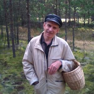 Сергей, 68 лет, Череповец