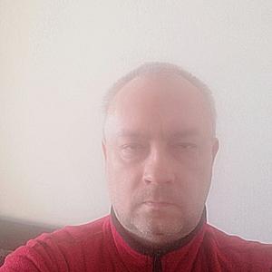 Ярослав Почевалов, 44 года, Новочеркасск