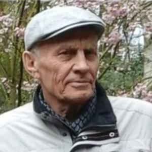 Иван, 71 год, Оренбург