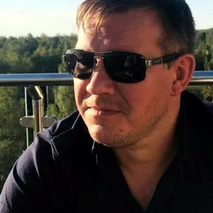 Андрей Березин, 46 лет, Дмитров