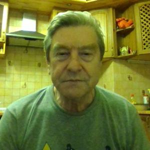 Леонид, 64 года, Санкт-Петербург
