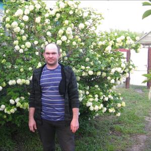 Анатолий, 38 лет, Чебеньки