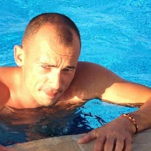 Nikolaj, 43 года, Калининград