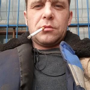 Алексей Панкратов, 43 года, Кашира