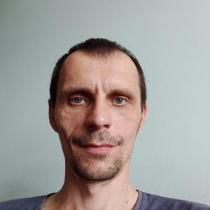Алексей, 43 года, Осинники