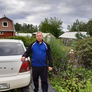 Парни в Нижний Тагиле: Владимир, 64 - ищет девушку из Нижний Тагила